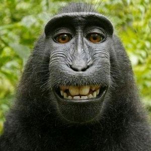 Meet your Posher, Pamela